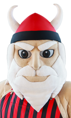 Viktor the Viking headshot